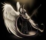 NameShad